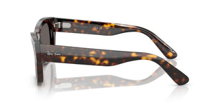 Ray-Ban JOSEPH RB 7683S unisex Havana Squared Sunglasses