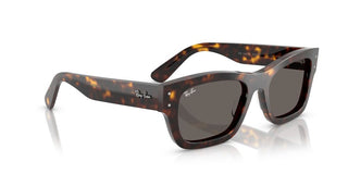 Ray-Ban JOSEPH RB 7683S unisex Havana Squared Sunglasses