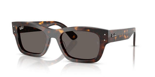 Ray-Ban JOSEPH RB 7683S unisex Havana Squared Sunglasses
