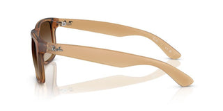 Ray-Ban JUSTIN RB 4165 men Brown Sunglasses
