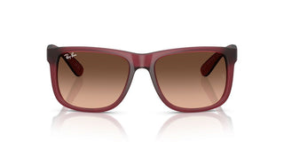 Ray-Ban JUSTIN RB 4165 men Violet Sunglasses