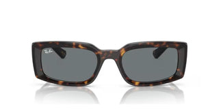 Ray-ban Kiliane Rb 4395 Unisex Havana Squared Sunglasses