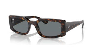 Ray-ban Kiliane Rb 4395 Unisex Havana Squared Sunglasses