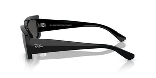 Ray-ban Kiliane Rb 4395 Unisex Black Squared Sunglasses