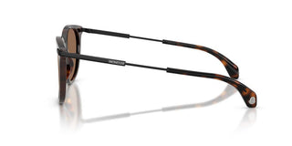 Moncler Korra Me6013 Unisex Havana Geometric Sunglasses