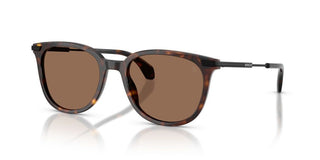 Moncler Korra Me6013 Unisex Havana Geometric Sunglasses