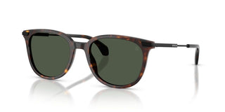 Moncler Korra Me6013 Unisex Havana Geometric Sunglasses