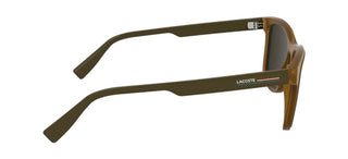 Lacoste L6054s Men Brown Squared Sunglasses