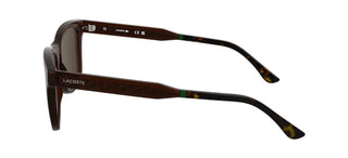 Lacoste L6060s Men Brown Squared Sunglasses