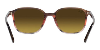 Ray-Ban LEONARD RB 2193 unisex Havana Geometric Sunglasses