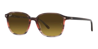 Ray-Ban LEONARD RB 2193 unisex Havana Geometric Sunglasses