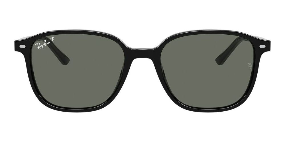Ray-Ban LEONARD RB 2193 unisex Black Geometric Sunglasses