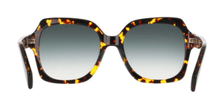 Liu Jo Lj811s Women Havana Squared Sunglasses