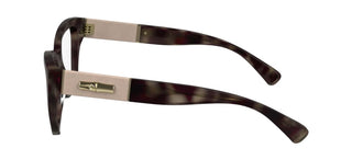 Longchamp Lo2742l N Women Havana Butterfly Eyeglasses