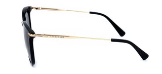 Longchamp Lo646s N Women  Cat Eye Sunglasses