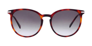Longchamp Lo646s N Women Havana Cat Eye Sunglasses