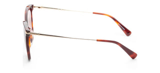 Longchamp Lo660s N Women Havana Geometric Sunglasses