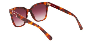 Longchamp Lo696s N Women Havana Squared Sunglasses