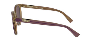 Longchamp Lo773s N Women  Round Sunglasses