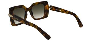Longchamp Lo776s N Women Havana Squared Sunglasses
