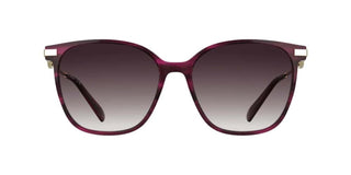 Longchamp LO805S women Violet Cat Eye Sunglasses