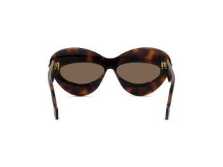 LOEWE Signature LW40119I women Havana Cat Eye Sunglasses