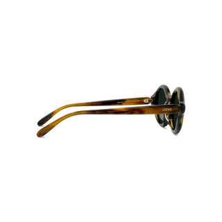 Loewe Slim Lw40162u Women Havana Round Sunglasses