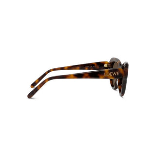 LOEWE Slim LW40178I women Havana Geometric Sunglasses