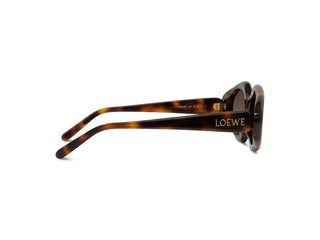 LOEWE Slim LW40185I women Havana Butterfly Sunglasses