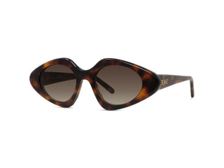 LOEWE Slim LW40185I women Havana Butterfly Sunglasses