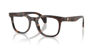 Moncler Me2023 Unisex Havana Squared Eyeglasses