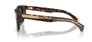 Moncler Me6004 Unisex Havana Squared Sunglasses