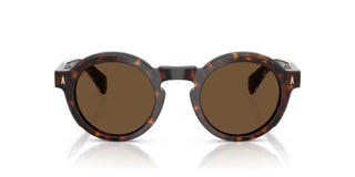 Moncler ME6012 unisex Havana Round Sunglasses