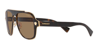 Versace MEDUSA CHARM VE 2199 men Havana Oversize Sunglasses