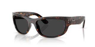 Ray-Ban MEGA BALORAMA RB 2289 unisex Havana Cat Eye Sunglasses