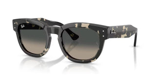 Ray-Ban MEGA HAWKEY RB 0298S unisex Grey Sunglasses
