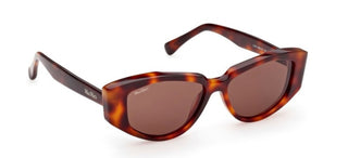 Max Mara Mm0161 Women Havana Cat Eye Sunglasses
