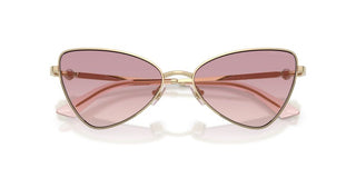 Jimmy Choo MOD. 4015HB women 0 Sunglasses