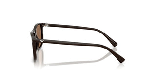 Emporio Armani MOD. 4280 men Brown Sunglasses