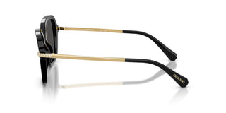 Swarovski MOD. 6040 women 0 Sunglasses