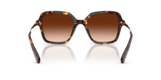 Swarovski MOD. 6040 women 0 Sunglasses
