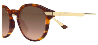 Maui Jim Momi Mj0622s Unisex Havana Round Sunglasses