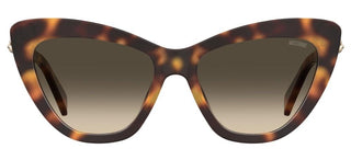 Moschino MOS122/S women Havana Cat Eye Sunglasses