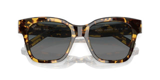 Costa Del Mar NUSA 06S2016 women Havana Geometric Sunglasses
