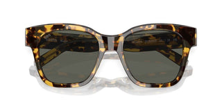 Costa Del Mar NUSA 06S2016 women Havana Geometric Sunglasses
