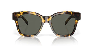 Costa Del Mar NUSA 06S2016 women Havana Geometric Sunglasses