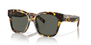 Costa Del Mar NUSA 06S2016 women Havana Geometric Sunglasses