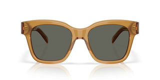 Costa Del Mar NUSA 06S2016 women Brown Geometric Sunglasses