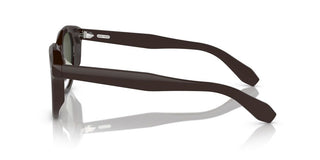 Oliver Peoples N.05 Sun Ov 5547su Unisex Brown Pantos Sunglasses