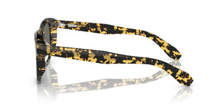 Oliver Peoples N.05 Sun Ov 5547su Unisex Havana Pantos Sunglasses